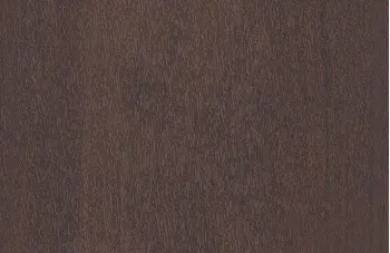 Вишня моренная